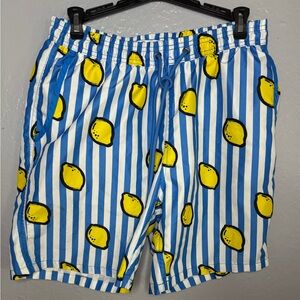 Men's Mr. Swim‎ blue white stripe Lemons swim suit. SZ L. Lined drawstring beach
